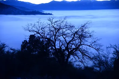 DSC_1083 (Large).JPG